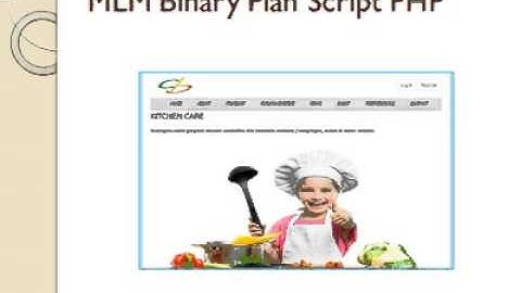 MLM Binary Plan Script | Binary Plan Script - https://www.mlmscript.in