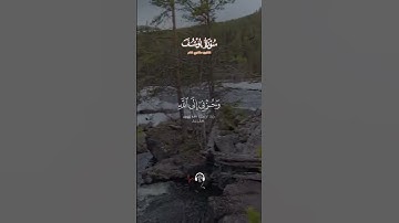 سورة يوسف #القرآن_الكريم #اكسبلور #حالات_واتس #المصحف #راحة_نفسية #اللهم_صل_وسلم_على_نبينا_محمد #لاي
