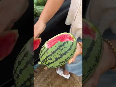 hand size watermelon in Italy fruit market