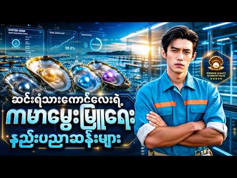 (စ/ဆုံး) စနစ်တကျပုလဲမွေးပြီး ချမ်းသာလာတဲ့ ကောင်လေး #recap #movie #foryou