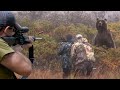 Giant Grizzly Bear Hunting With Rifles Part 1 