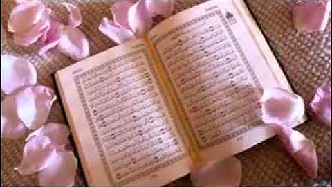 سورة الحاقه القارئ الشيخ عبدالله بصفر