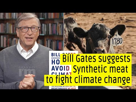 Bill Gates suggests a new proposal to fight climate change