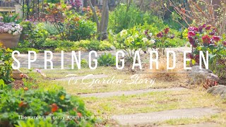 《春の花咲くナチュラルガーデン》３月下旬〜４月上旬ガーデンツアー＊開花状況《T's Gardenのガーデニング》