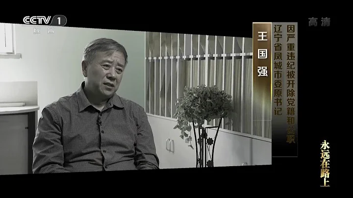丁義珍原型 王國強 - 天天要聞