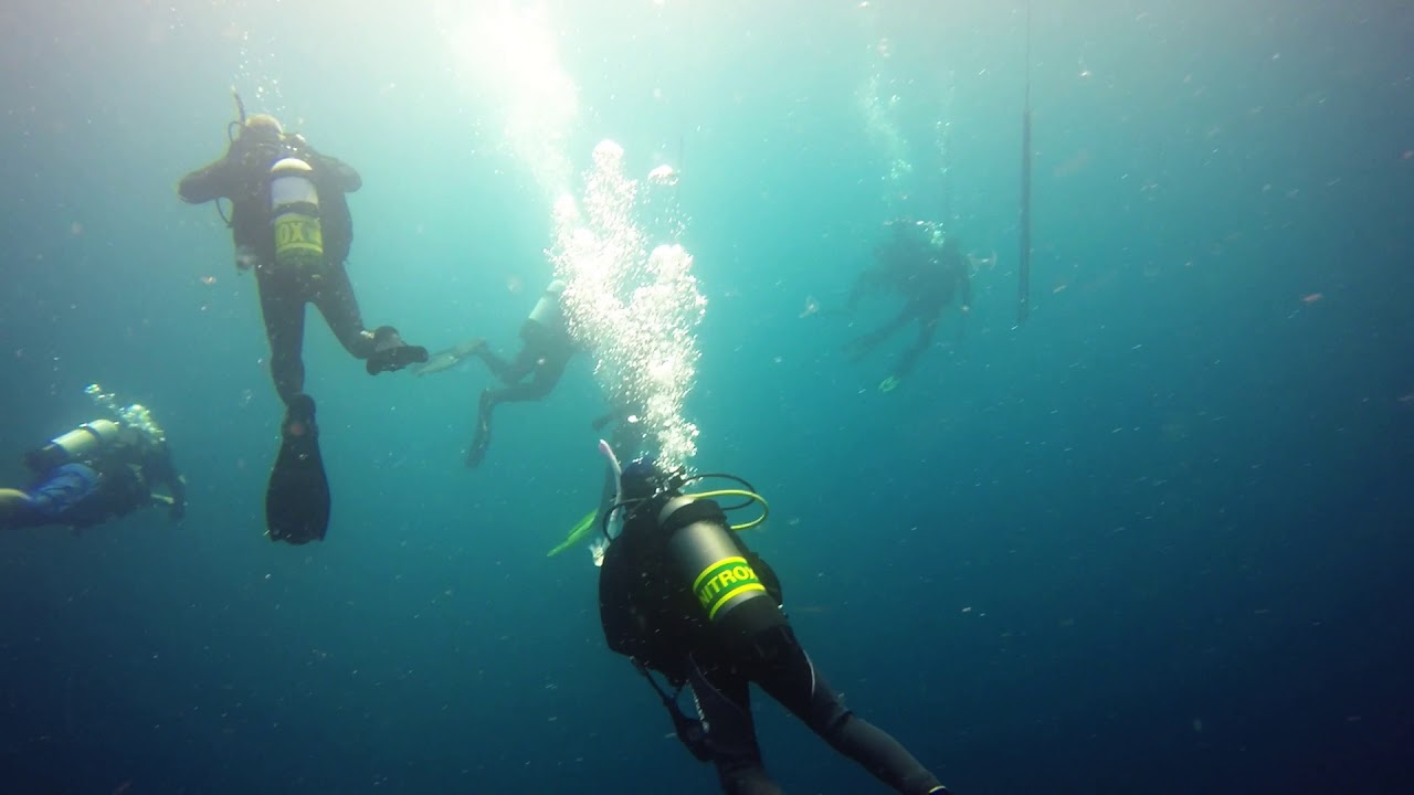 Scuba Dive Gotham City and Flinders Reef 02-09-18