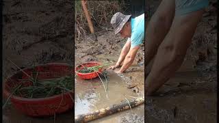 #shorts thời trẻ trâu