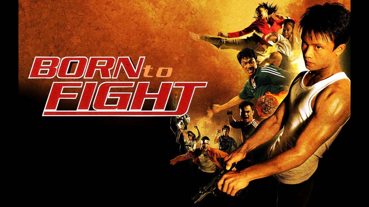 Born To Fight (2004) - Thai Movie Review - YouTube