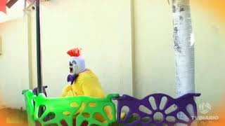 Brincando De Dublagem O Galo Gogo Turma Da Pakaraka