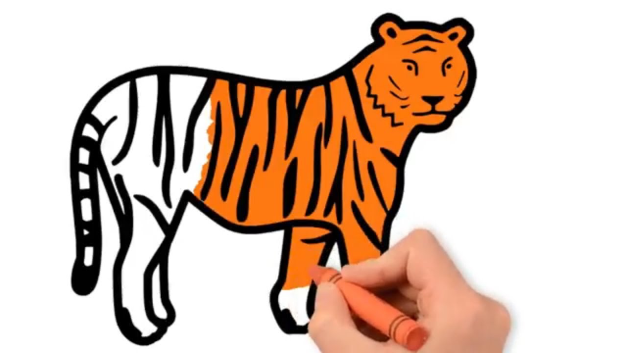 Tiger Drawing and Colouring Coloring Pages for Kids