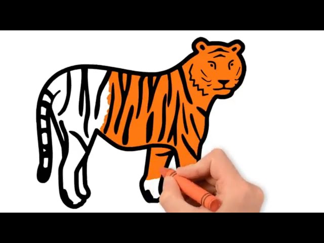 Tiger Coloring Pages PDF  Coloringfoldercom  Tiger drawing Tiger  images Animal drawings