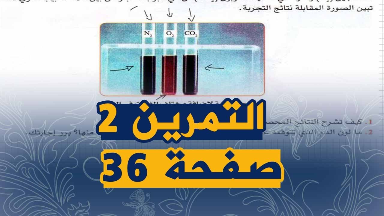 التمرين الثاني صفحة 36 من الكتاب المدرسي علوم طبيعية للسنة الرابعة متوسط الجيل الثاني