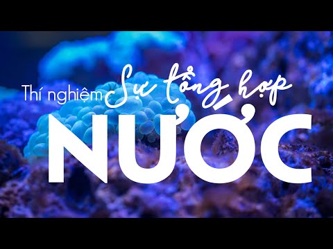 Video Thí nghiệm SỰ TỔNG HỢP NƯỚC. Hóa học 8 bài 36 - YouTube