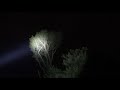 Beginning of video