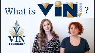 What is VIN? For Prevet, Vet Students and Vets! | BellaVet