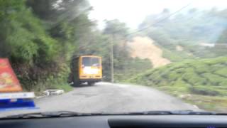 Narrow road going to Boh Tea Plantation