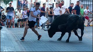 TIELMES (MADRID) 2024 ENCIERRO Y CAPEA (Video Resumen)