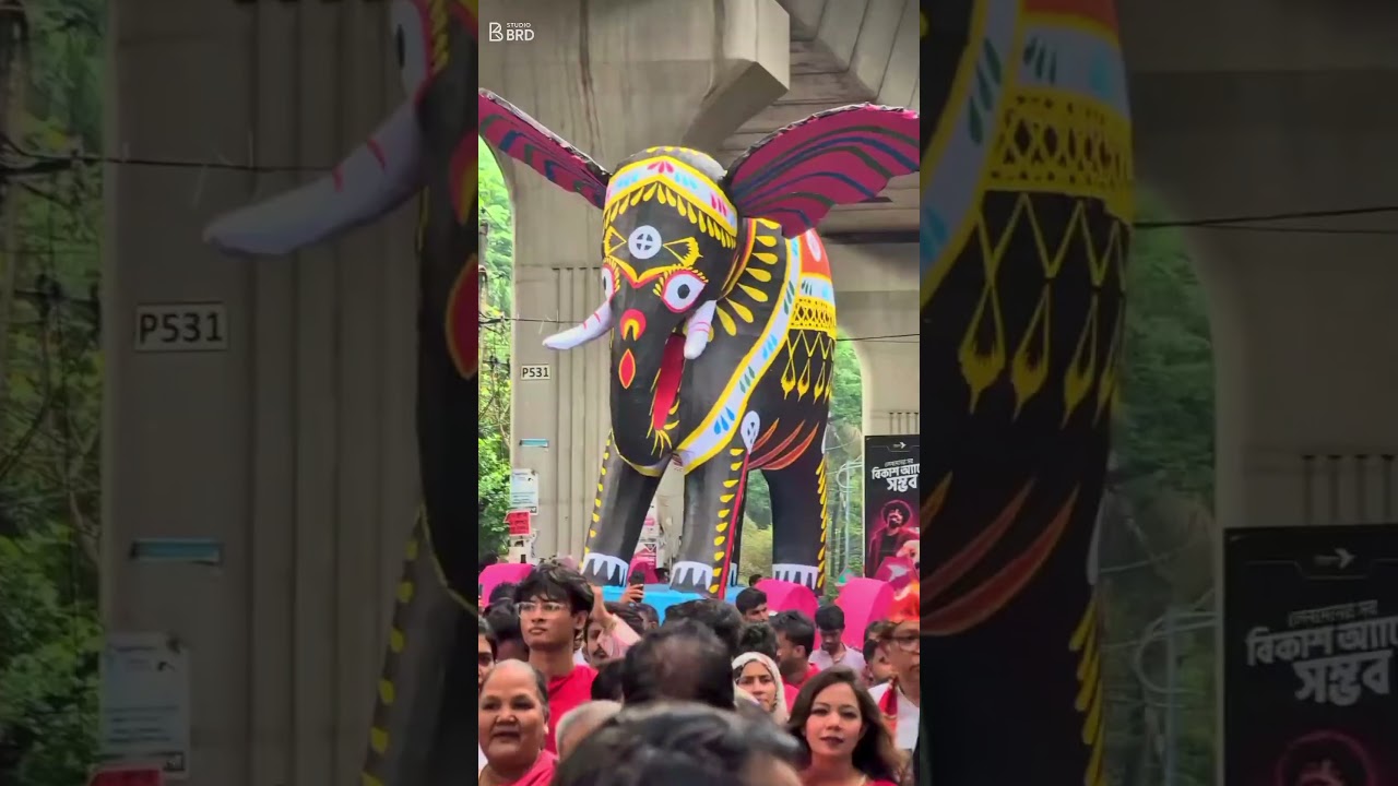 বাঙালির বর্ষবরণ | বাংলা নববর্ষ ১৪৩৩ বঙ্গাব্দ | উৎসবে উল্লাসে বাঙালিয়ানা | BRD