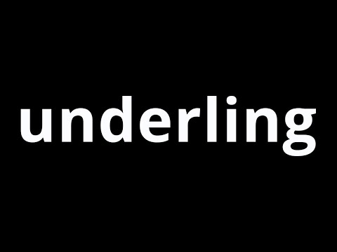 Video Word Of The Day - Underling