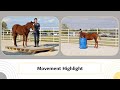 SOLD! MU Absolute Gem – 2022 AQHA Filly – Movement Highlight