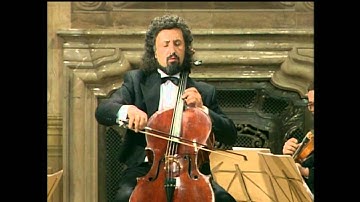 Mischa Maisky - Haydn - Violin Concerto No 1 in C major, Adagio
