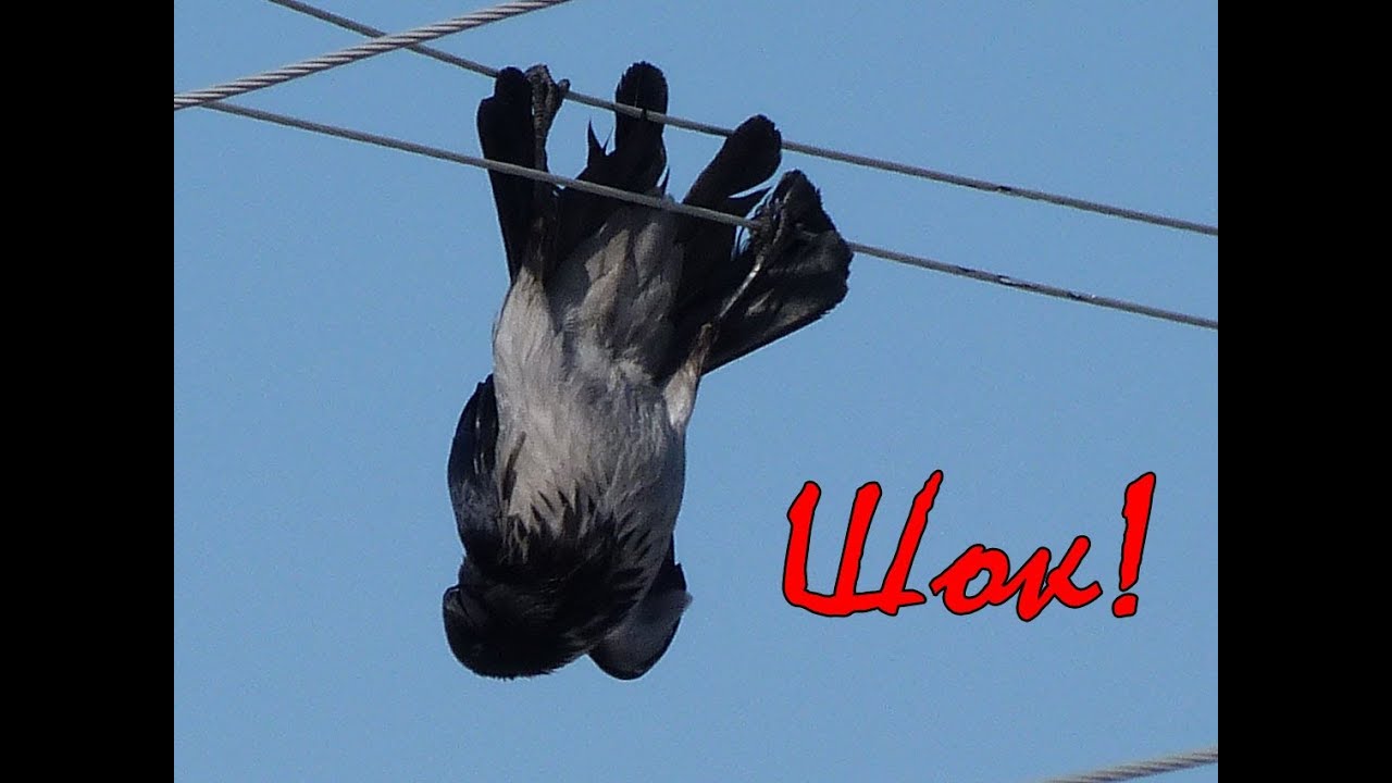 Бои были в подвале, на крыше. Мы не выходили из здания Донецкого аэропорта вообще, - Евгений Жуков (Маршал) в проекте "Цензор.НЕТ" "Своя война" - Цензор.НЕТ 5697