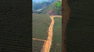 Download Lagu Warm Winter in Nam 🏍️😍 MP3 Download Lagu Warm Winter in Nam 🏍️😍 MP3