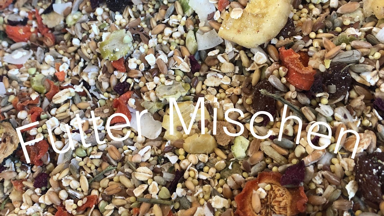 Ratten Futtermischen