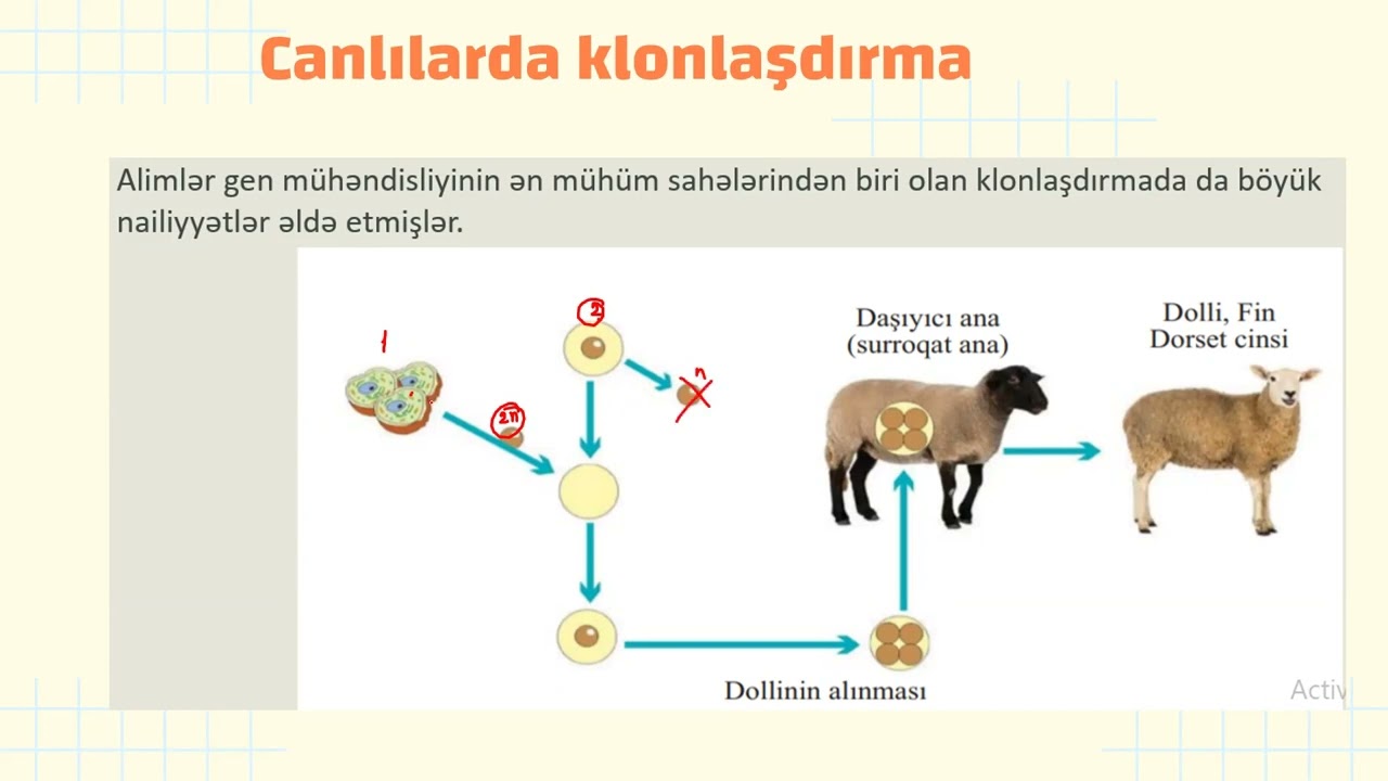 Biotexnologiya və insan sağlamlığı