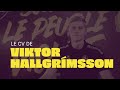 Viktor hallgrimsson gardien de but du hbc nantes