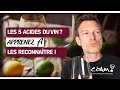 Dégustation Apprenez à RECONNAÎTRE Facilement Les 5 ACIDES Du Vin mp3