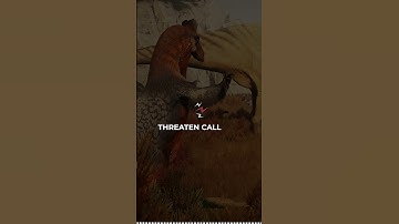 Did You Know? - Achillo