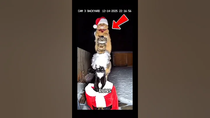 3 Countries Where Santa Is NOT the Main Character 🎅😱 #shorts  #viral #facts #santaclaus