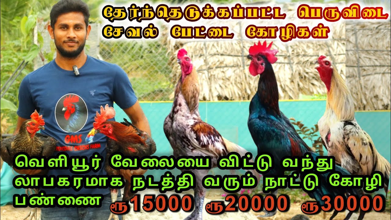 படிச்ச பட்டதாரி வேலையினை விட்டு வந்து துணிச்சலான செயல் மாதா வருமானம் அமோகம்