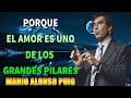 PORQUE EL AMOR ES UNO DE LOS GRANDES PILARES DE LA VIDA - MARIO ALONSO PUIG