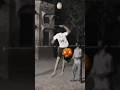 #volleyballworld #volleyball #paling