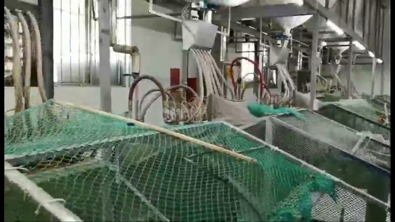 EPS Cup production line,eps foam cup machine