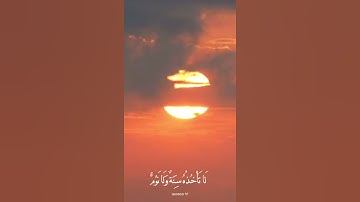 تلاوة خاشعه هزاع البلوشي ..آية الكرسي ✨🕊 حالات واتس