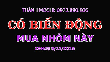 Chú ý  TOP cổ phiếu mạnh Cho Nhà Đầu Tư Năm 2025 Bạn Nên Biết | VIC VHM VRE  | VNINDEX SẬP sập