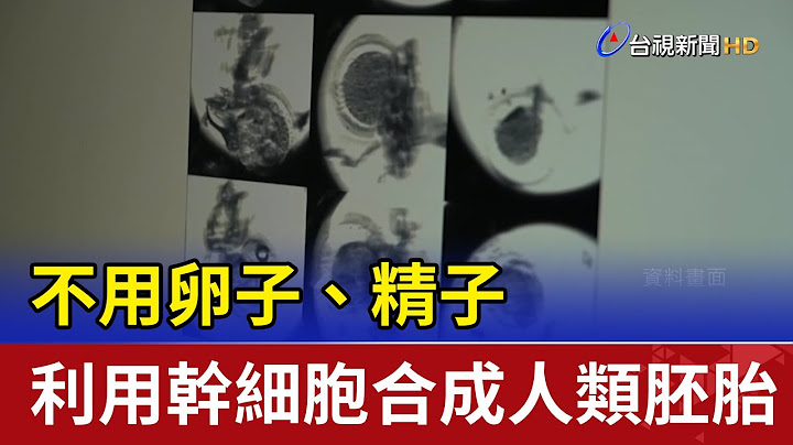 不用卵子、精子 利用幹細胞合成人類胚胎 - 天天要聞