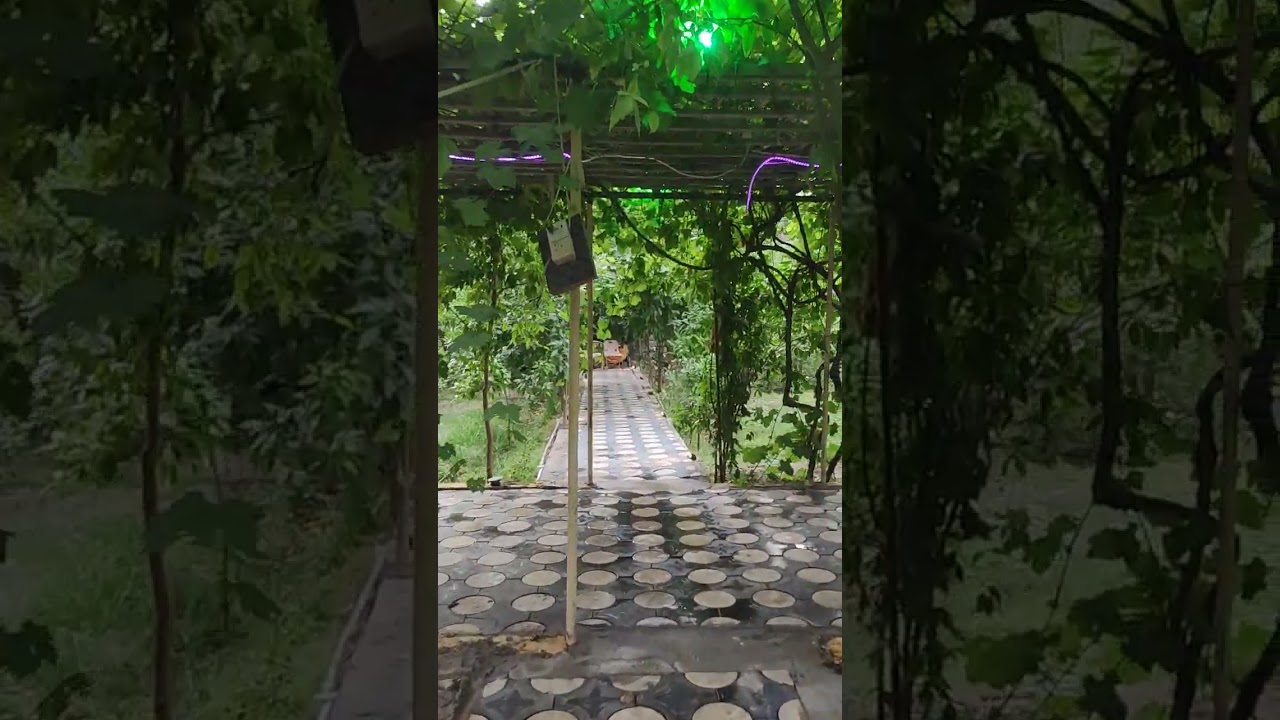 دار استراحه دونم طابو سند منفرد العنوان كربلاء البوبيات السعر ٥٦٠ مليون ٠٧٨٠٣٣٦٥٠٢٠٧/٠٧٧٣٦٠٣٣٨٨٩