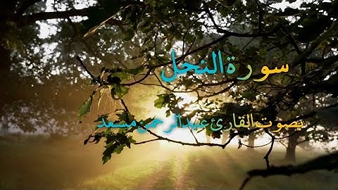 من عمل صالحا من ذكر او انثى | القارئ عبدالرحمن مسعد1080P HD