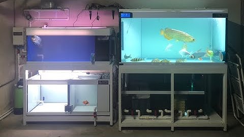 อ๋อม นวมินทร์ - ย้ายตู้ปลา 60 พร้อมปลาไปบ้านใหม่พร้อมติดตั้งตู้ปลา 48 อีกใบ + ทำระบบ O4FS แบบจัดเต็ม