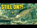 Still On! Tarpon Goes Airborne AGAIN