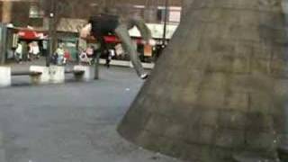 Famous Trinity Wallflip (wallsideflip) Profile