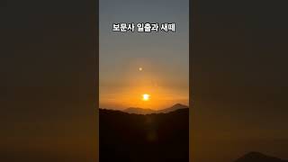 보문사 낙가산 일출과 기러기 새떼 니가 왜 거기서 나와
