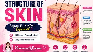 Structure of Skin Explained | Layers &amp; Functions | M.Pharm Cosmetics