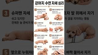 견생시대 대표 영상 썸네일