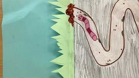 The Early Worm