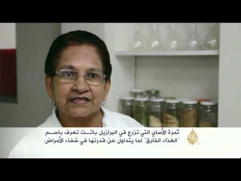 الأساي هل هو غذاء خارق